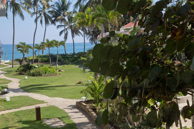 CABARETE BEACHFRONT CONDOS UNIT